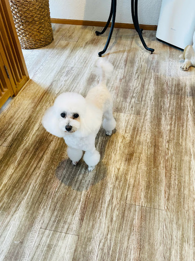 チバリーちゃん♡