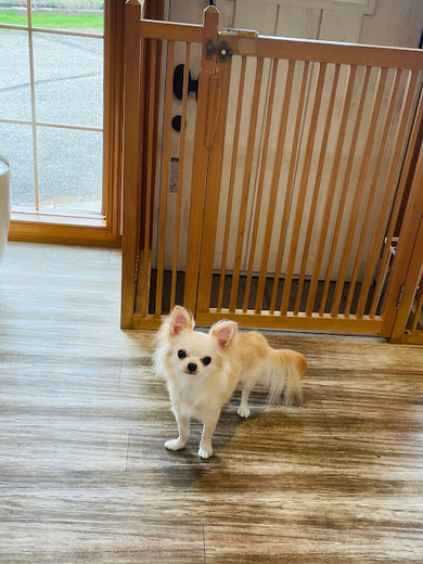 ふくちゃん♡まめくん♪