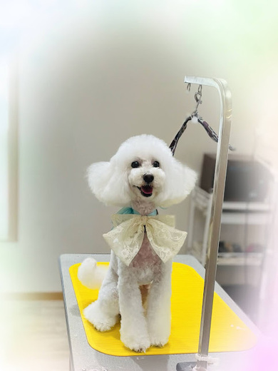 ブランくん♪アリスちゃん♡
