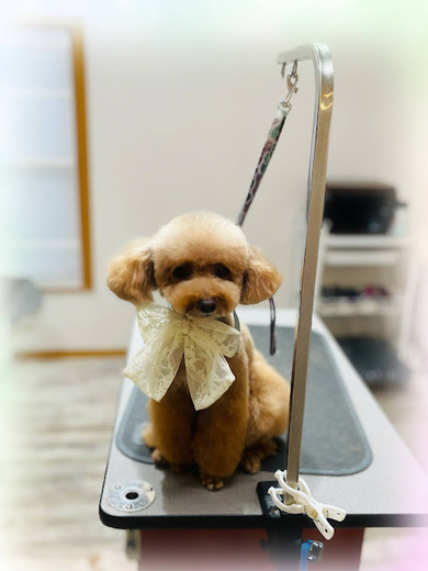 ばぶちゃん♡