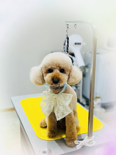 こたろうくん♪