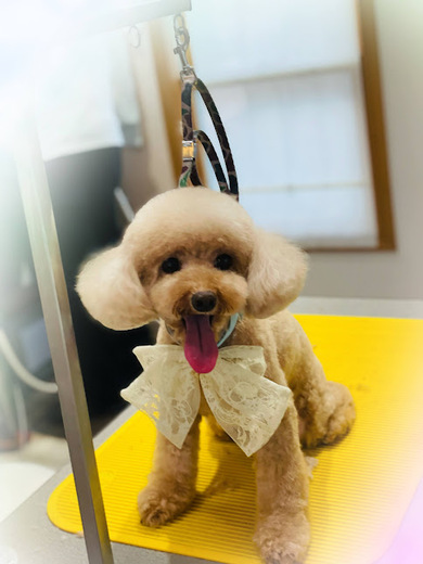 ふわりちゃん♡こはるちゃん♡