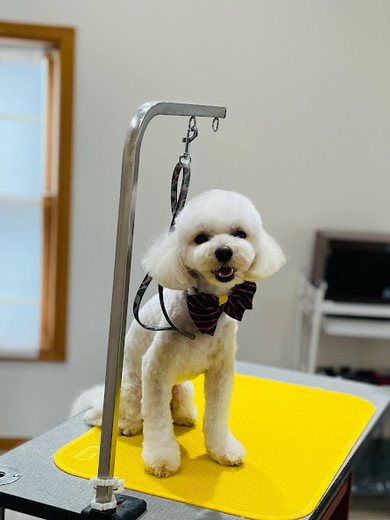 ふうくん♪