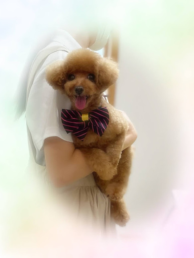 あいちゃん♡