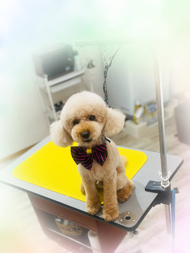 こたろうくん♪