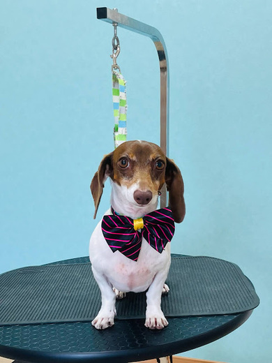 コロンちゃん♡