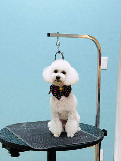 チバリーちゃん♡