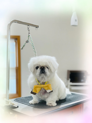 さくらちゃん♡