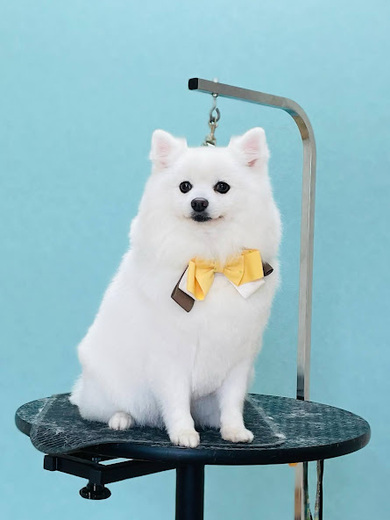 クルムちゃん♡