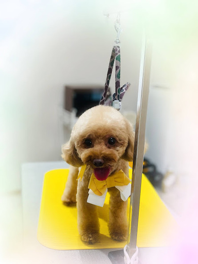 シェリーちゃん♡