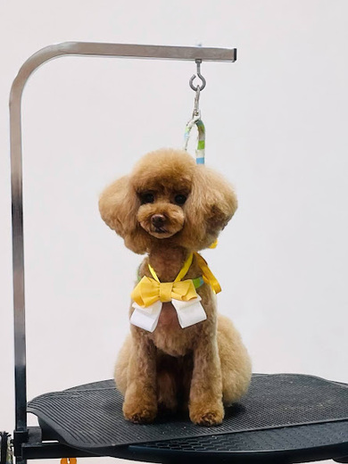 ルルちゃん♡ココちゃん♡