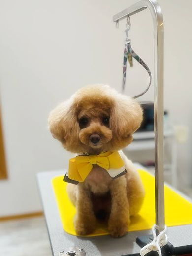 ルルちゃん♡ココちゃん♡