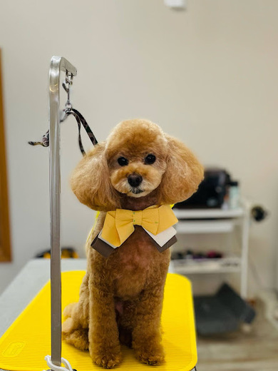 こるくちゃん♡