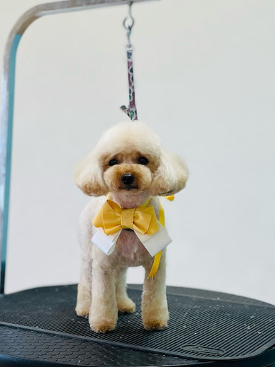 ひらりちゃん♡