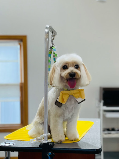 シェリちゃん♡