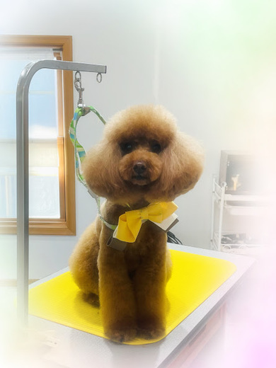 クッキーくん♪るるちゃん♡