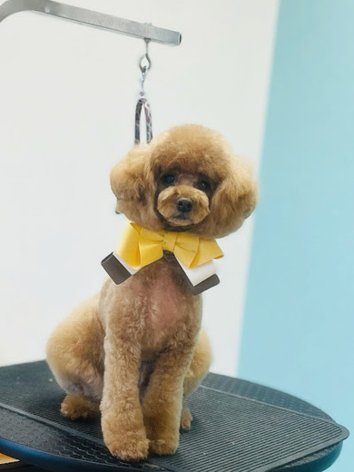 クッキーくん♪るるちゃん♡