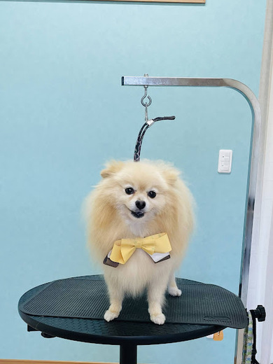 バニラちゃん♡