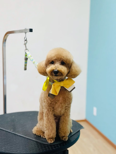 こたろうくん♪