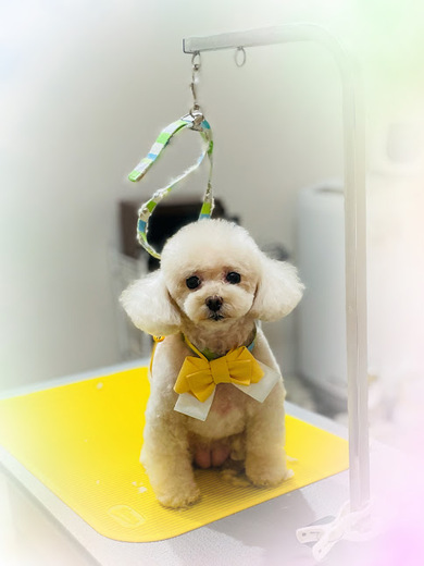 ふわりちゃん♡こはるちゃん♡