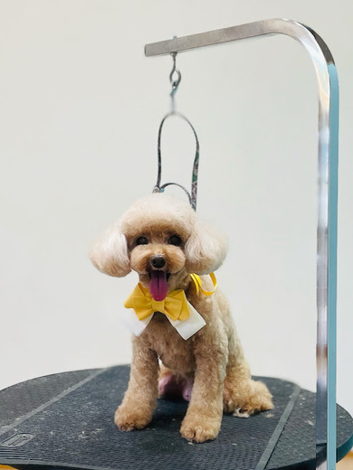 ふわりちゃん♡こはるちゃん♡