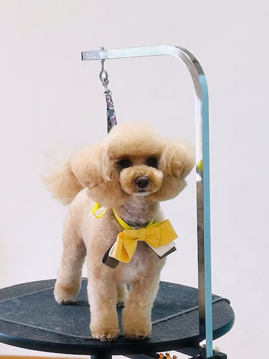 シェリちゃん♡サラちゃん♡