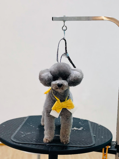 こまりちゃん♡