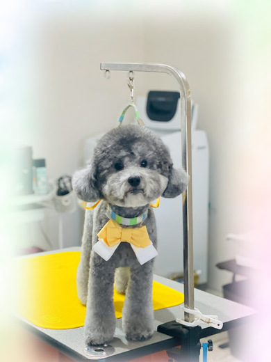 ごえもんくん♪