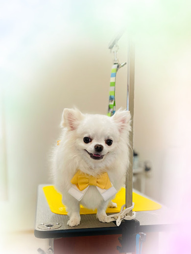 ふくちゃん♡まめくん♪