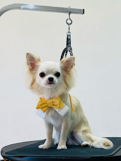 ふくちゃん♡まめくん♪