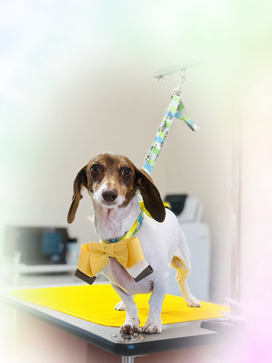 コロンちゃん♡