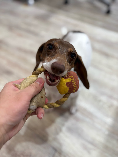 コロンちゃん♡