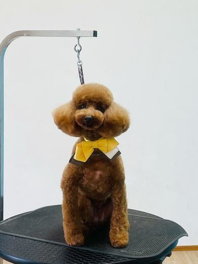 ブランくん♪アリスちゃん♡