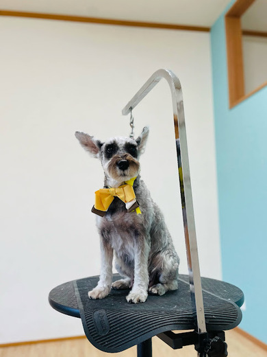 あん子ちゃん♡