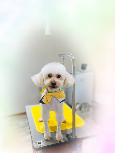 ヒコウくん♪エデンくん♪