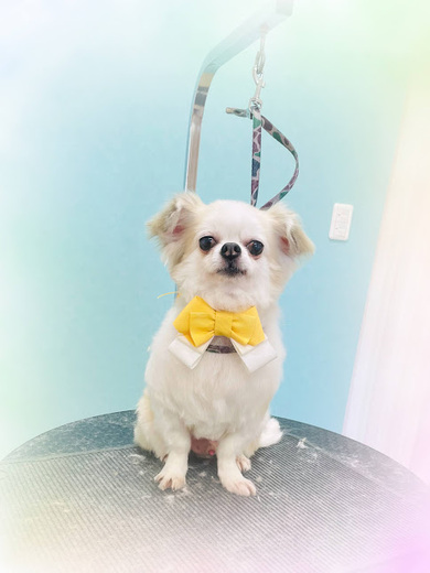 ヒコウくん♪エデンくん♪