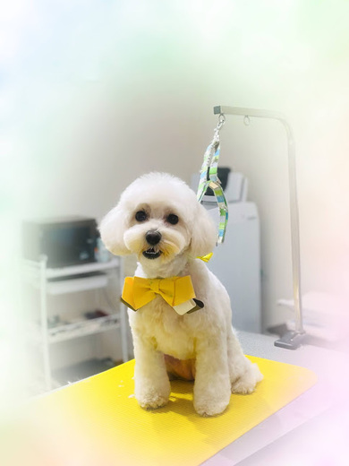 アムールちゃん♡