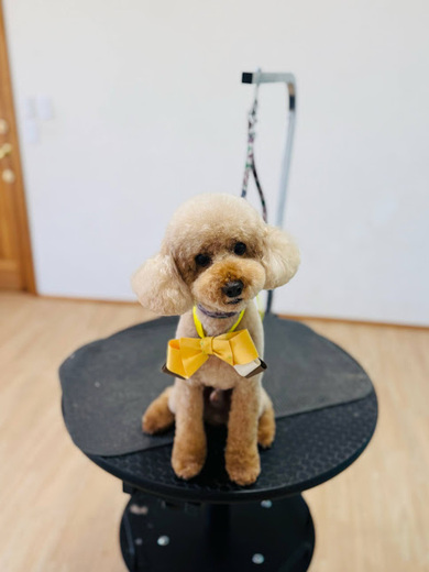 こたろうくん♪