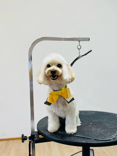 シェリちゃん♡