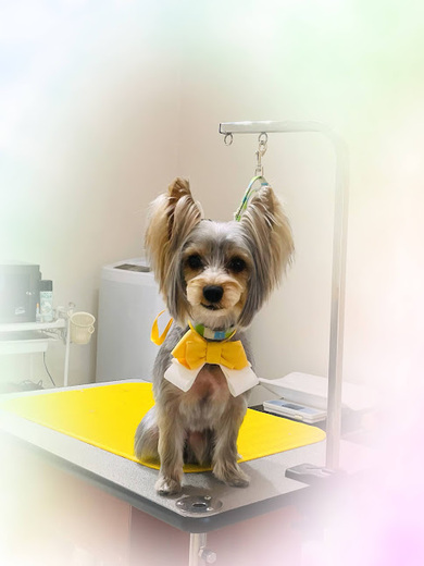 しぇりちゃん♡