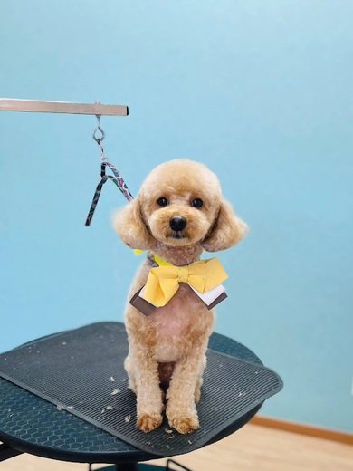 ココくん♪モカくん♪