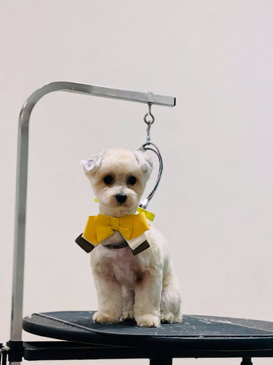 ぽんずちゃん♡