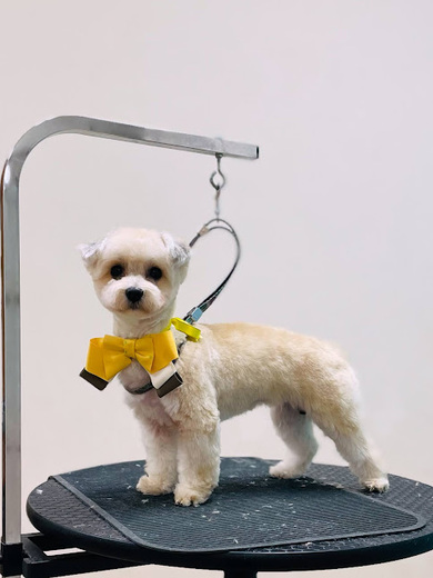 ぽんずちゃん♡