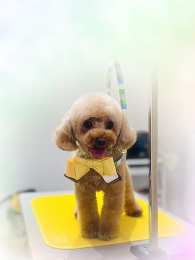 シェリーちゃん♡