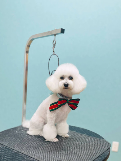 チバリーちゃん♡