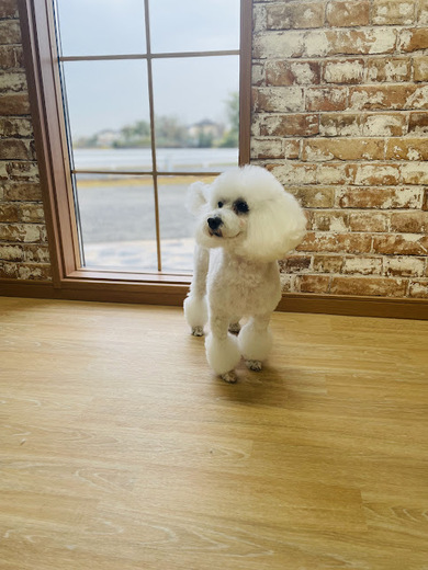 チバリーちゃん♡