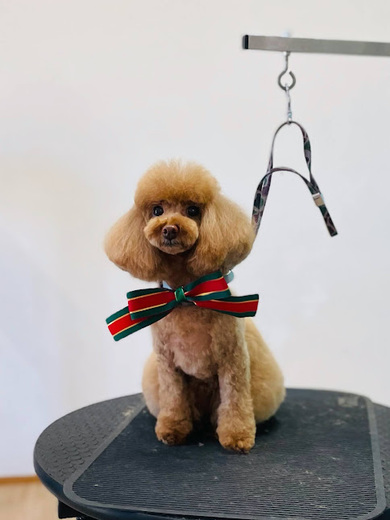 ルルちゃん♡ココちゃん♡