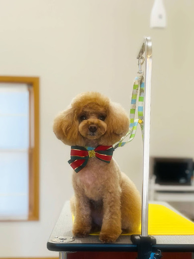 ルルちゃん♡ココちゃん♡