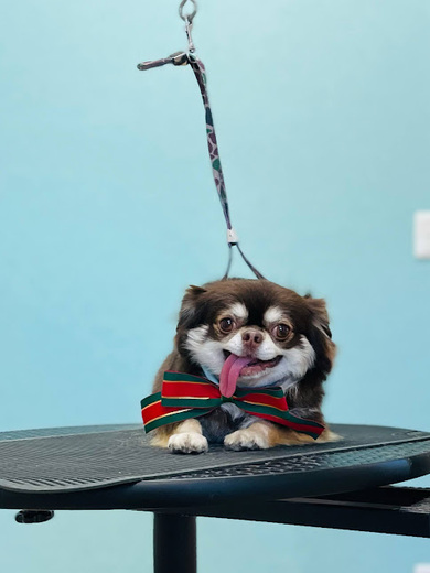 諭吉くん♪佐助くん♪