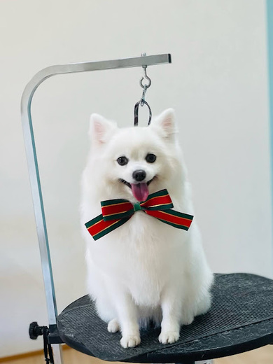 クルムちゃん♡